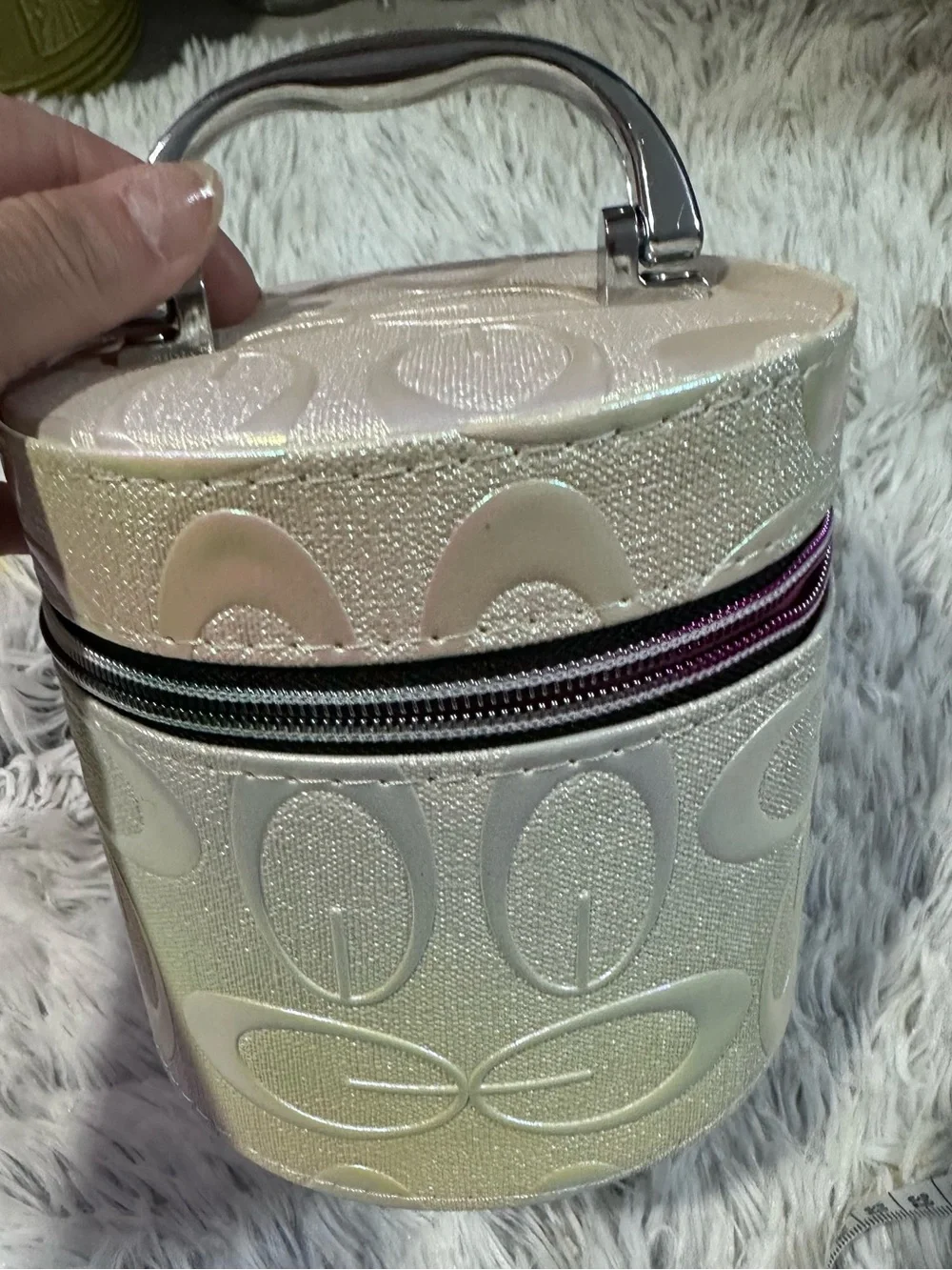 Iridescent small Cosmetic Bag case with Handle and Zipper
